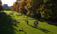 An autumnal reprieve An autumnal reprieve