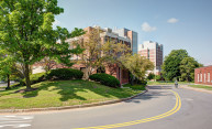 New York State awards $9.2 million to renew CEIS as Center for Advanced Technology New York State awards $9.2 million to renew CEIS as Center for Advanced Technology
