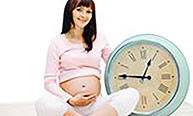 Unwinding ovarian clock to understand fertility Unwinding ovarian clock to understand fertility
