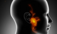Study uncovers the science behind bodily secretions Study uncovers the science behind bodily secretions