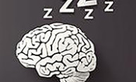 Subtle chemical changes in brain can alter sleep-wake cycle Subtle chemical changes in brain can alter sleep-wake cycle