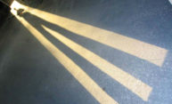 New book brings shadow into the light New book brings shadow into the light