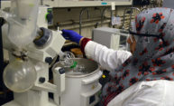 Seed grant enables researchers to try new approach to targeting leukemia Seed grant enables researchers to try new approach to targeting leukemia