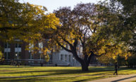 Seven straight years: University recognized as Tree Campus USA Seven straight years: University recognized as Tree Campus USA