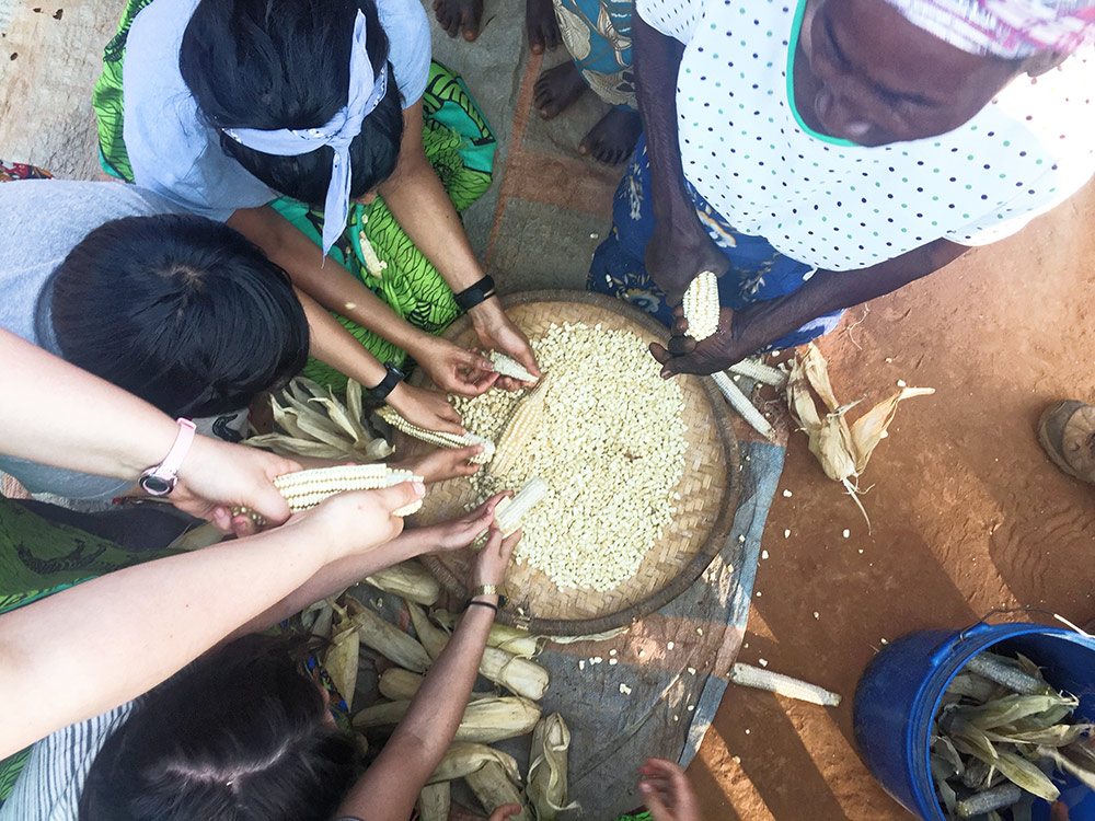 group of people's hands shucking corn over a bowl