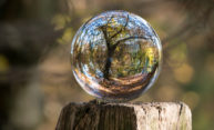 Philosopher Randall Curren considers why sustainability matters Philosopher Randall Curren considers why sustainability matters