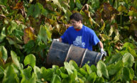 Student group builds bridges by cleaning Genesee Student group builds bridges by cleaning Genesee