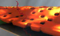 Scientist’s accidental exhale leads to improved DNA detector Scientist’s accidental exhale leads to improved DNA detector