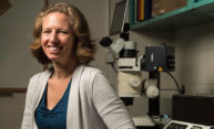 Professor studies complex brain networks involved in vision Professor studies complex brain networks involved in vision