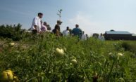 Dining Services grows its local foods program through partnership with Harvest Table Dining Services grows its local foods program through partnership with Harvest Table
