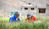 Stewart Weaver named Carnegie Fellow to support climate history study in Himalayas Stewart Weaver named Carnegie Fellow to support climate history study in Himalayas