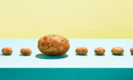 Genetically modified food: Would you eat it if you understood the science behind it? Genetically modified food: Would you eat it if you understood the science behind it?