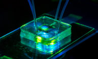 Rochester researchers pursue quick ways to detect COVID-19—and better understand it Rochester researchers pursue quick ways to detect COVID-19—and better understand it