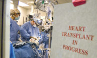 Organ transplant programs continue despite pandemic Organ transplant programs continue despite pandemic