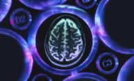 Medical Center to launch new brain aging research center Medical Center to launch new brain aging research center