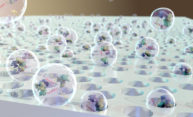 Gotcha! Rochester membranes help researchers capture tiny, telltale vesicles Gotcha! Rochester membranes help researchers capture tiny, telltale vesicles