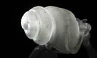 Will hearing aids ever be as effective as corrective eyewear? Will hearing aids ever be as effective as corrective eyewear?