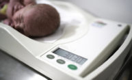Using data science to estimate fetal weight Using data science to estimate fetal weight