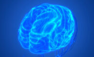 AI helps show how the brain’s fluids flow AI helps show how the brain’s fluids flow