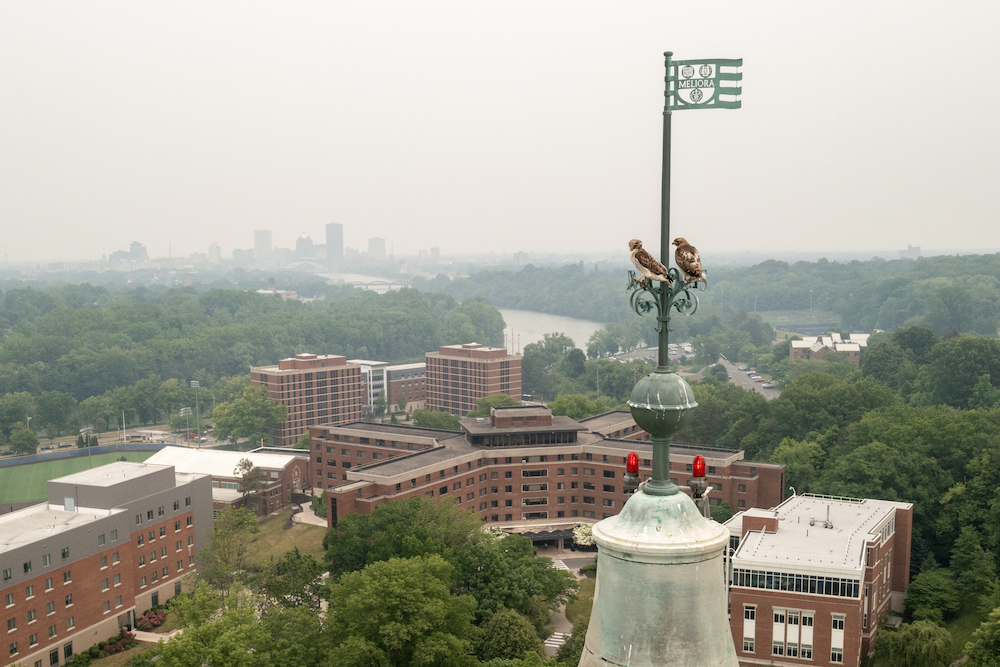 Two hawks perched atop a weathervane overlooking Rochester, clouded in haze