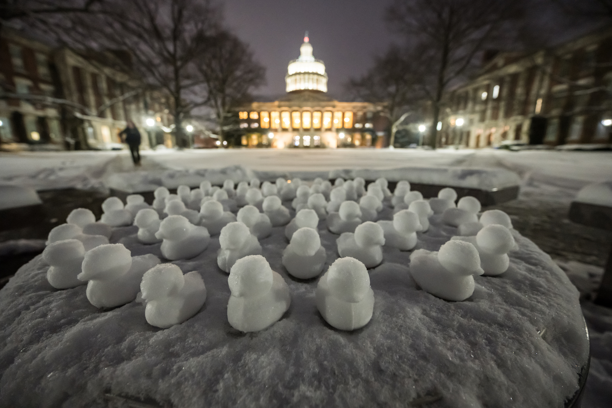 Dozens of ducks made out of snow are illuminated by outdoor lighting on a snowy quad