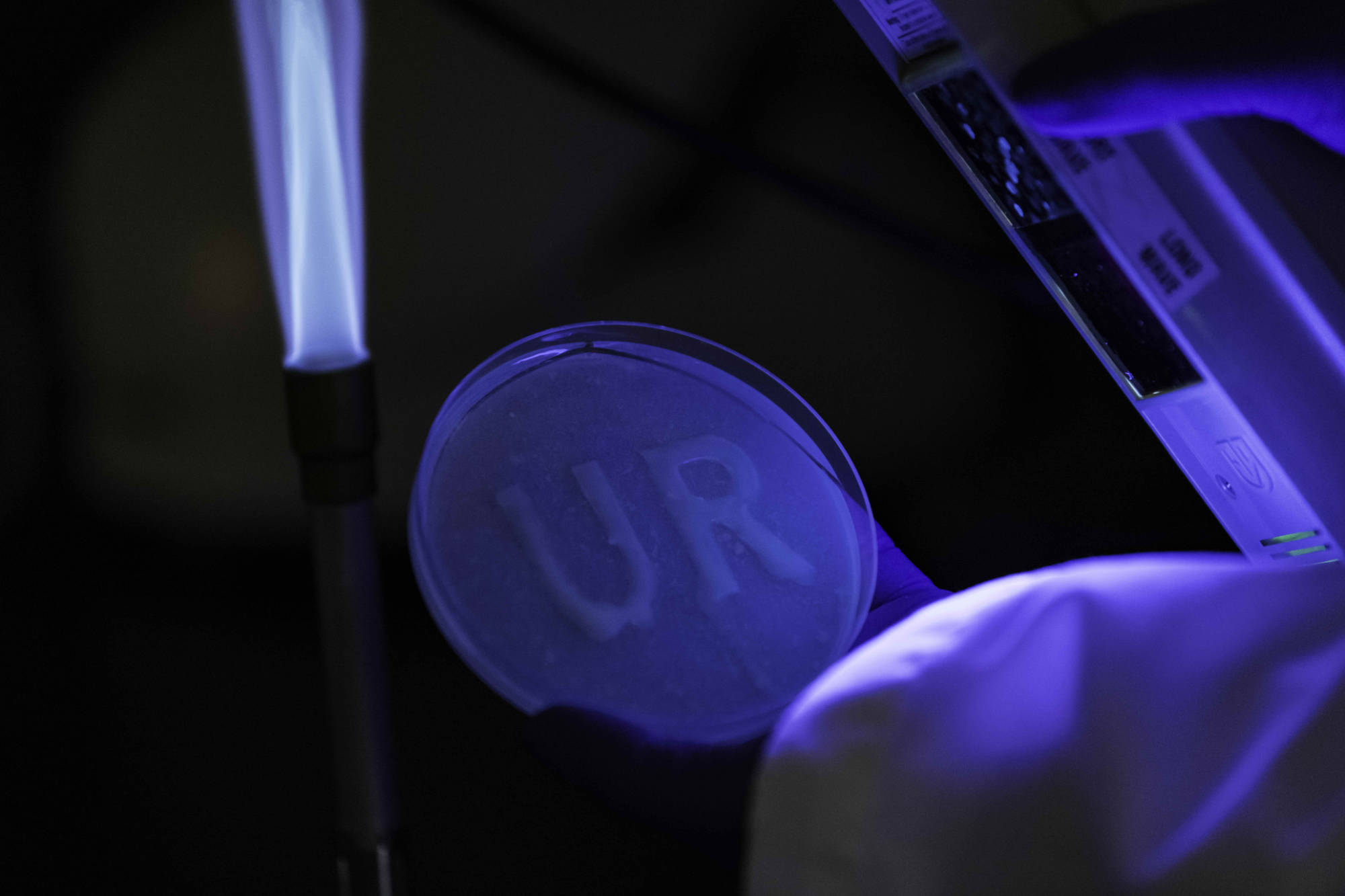 Alginate printed using 3d bioprinting into the letters UR contain green fluorescent proteins that glow under UV light.