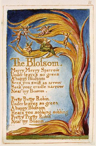 Illustrated poem "The Blossom" by William Blake.