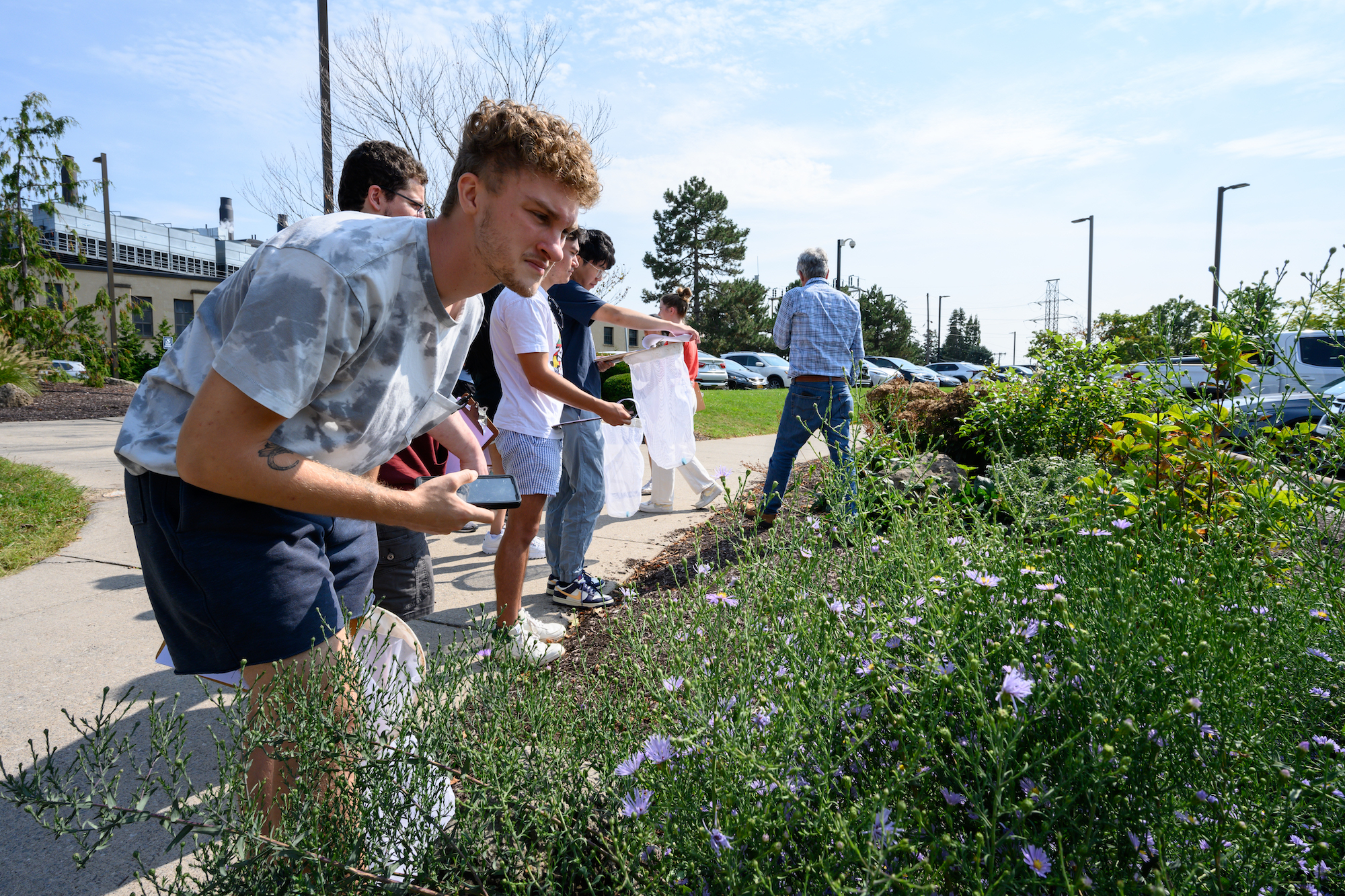 Students study pollinator gardens across the University