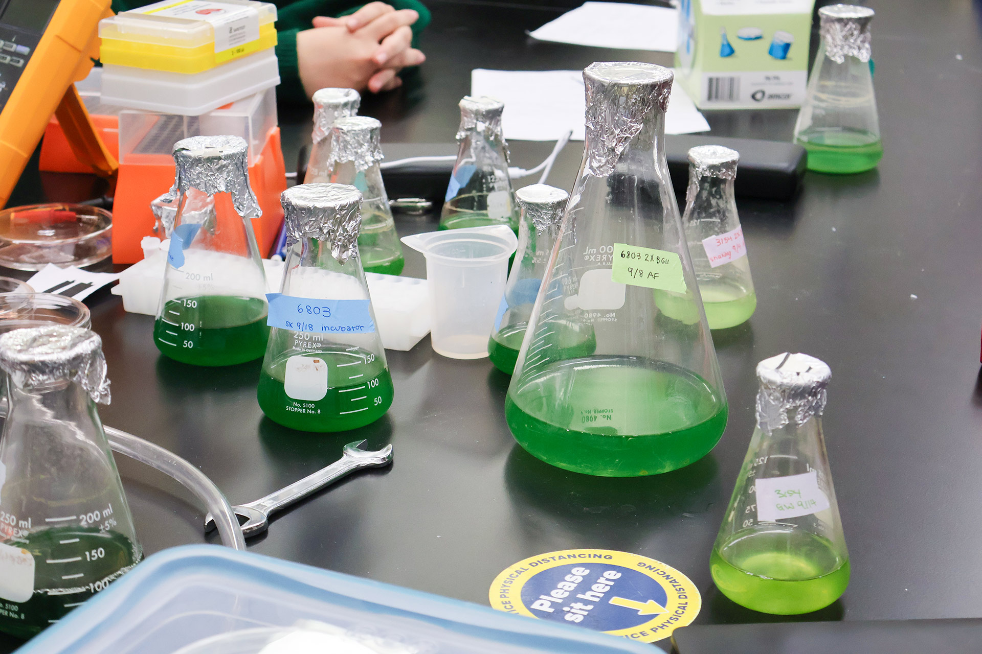 Close-up of about 10 different beakers of different sizes, each filled to different levels with green liquid.
