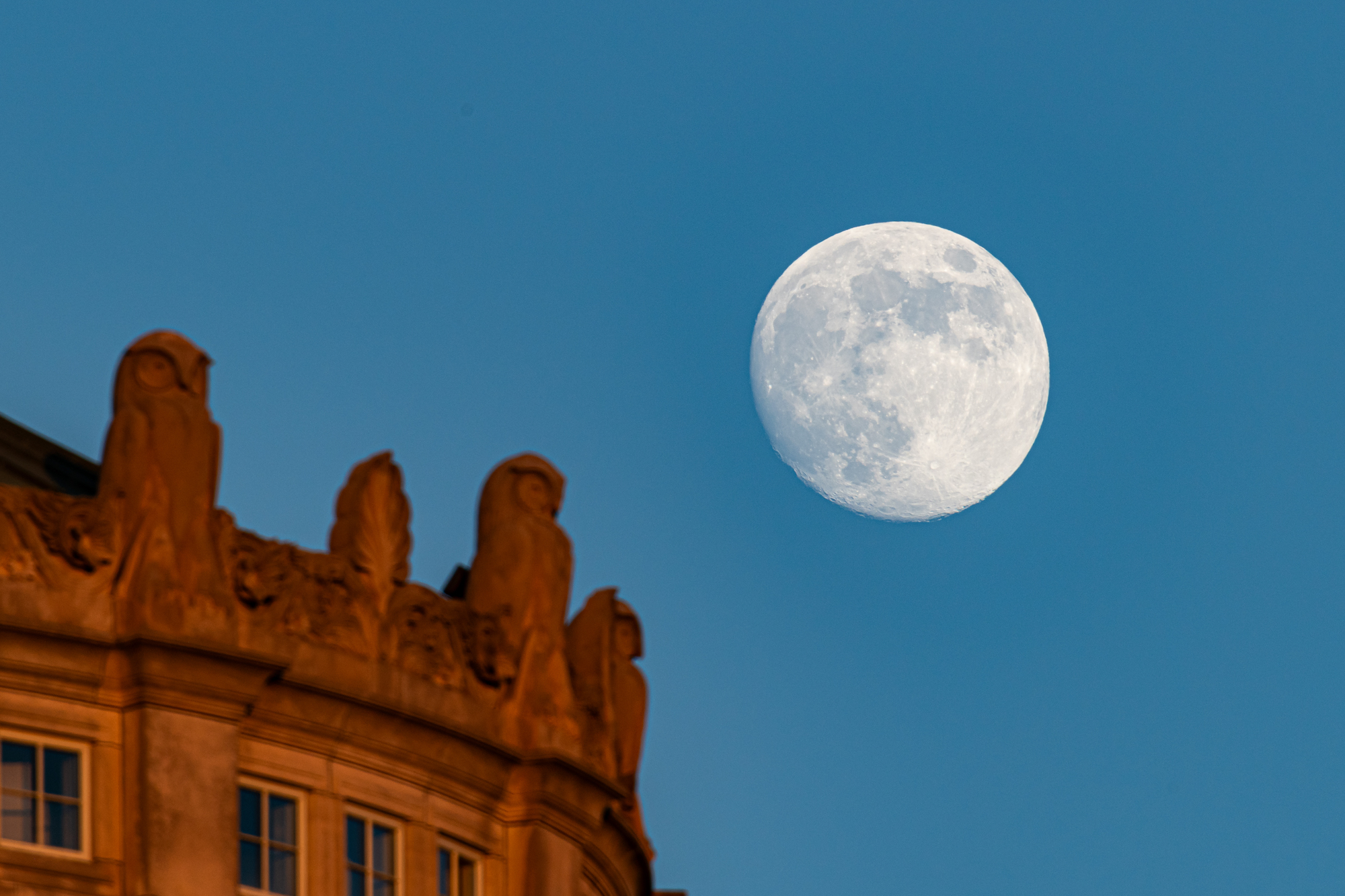 A nearly full moon makes an appearance alongside the owls adorning Rush Rhees Library tower at dusk.