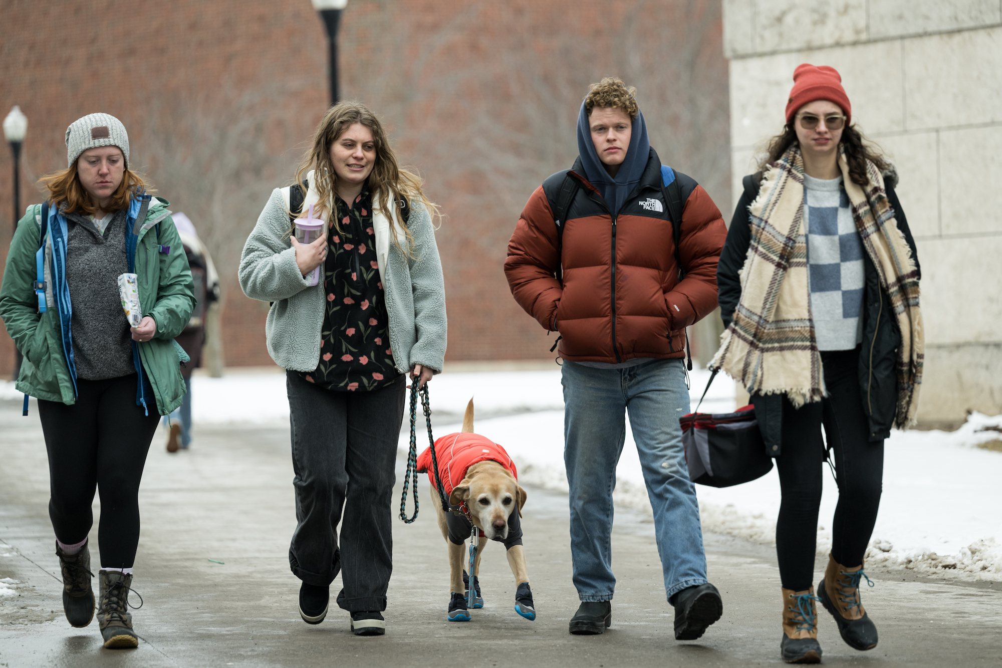 University of Rochester students and a dog in winter clothing walk to class .