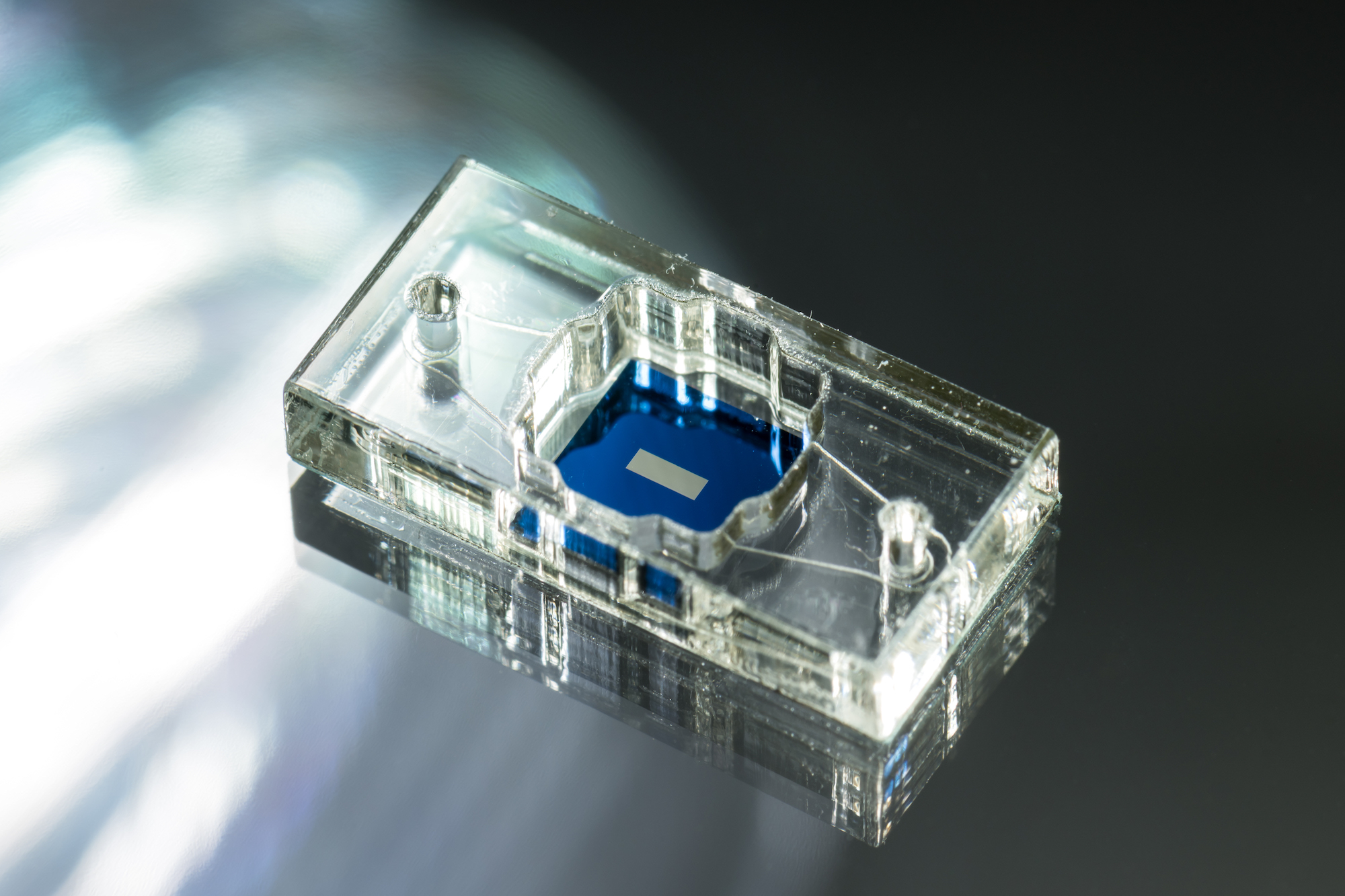 A modular µSiM (m-µSiM) tissue chip platform. The components are primarily acrylic. 