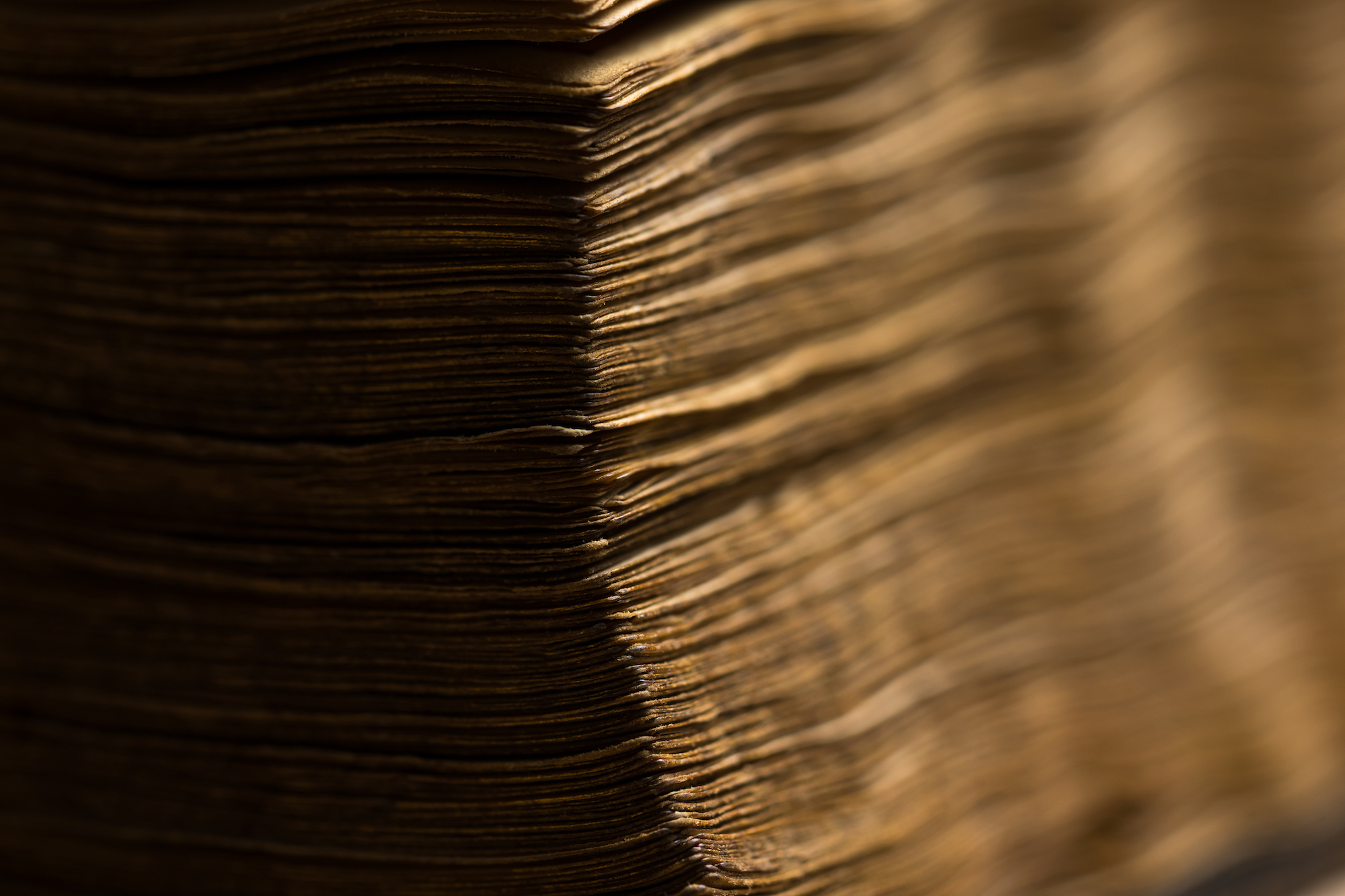 A close-up of pages from the Ghent-Bruges Book of Hours. 