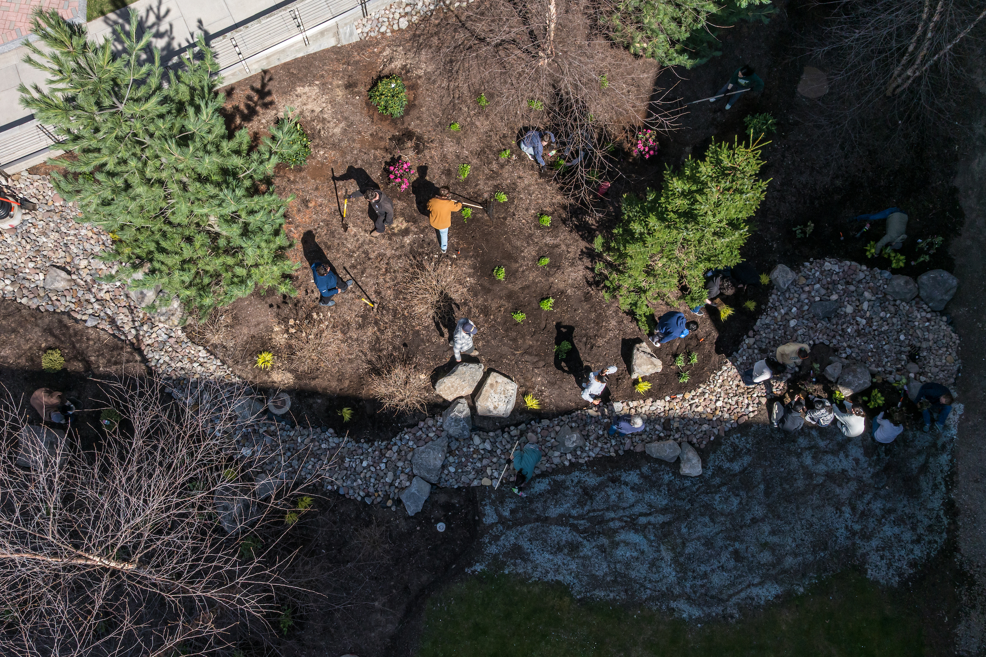 Aerial view of a planting in celebration of Earth Day. 
