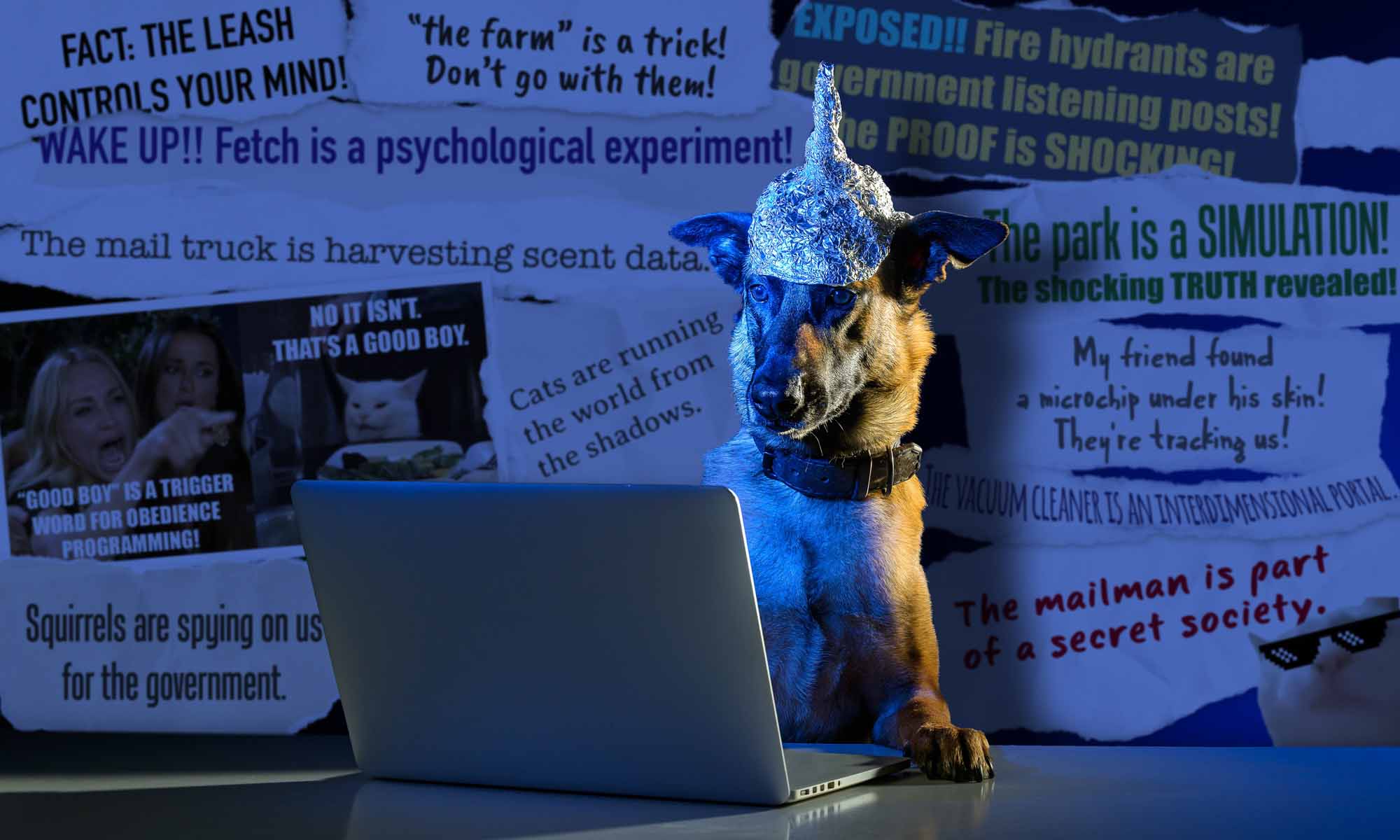 A dog wearing a tin foil hat stares at an open laptop screen. Behind him is a