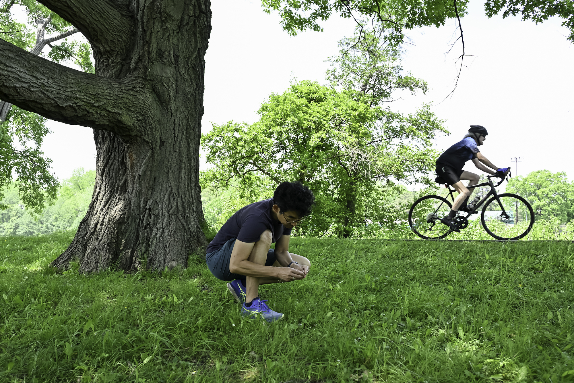 Takao Sasaki collects acorns in Genesee Valley Park.