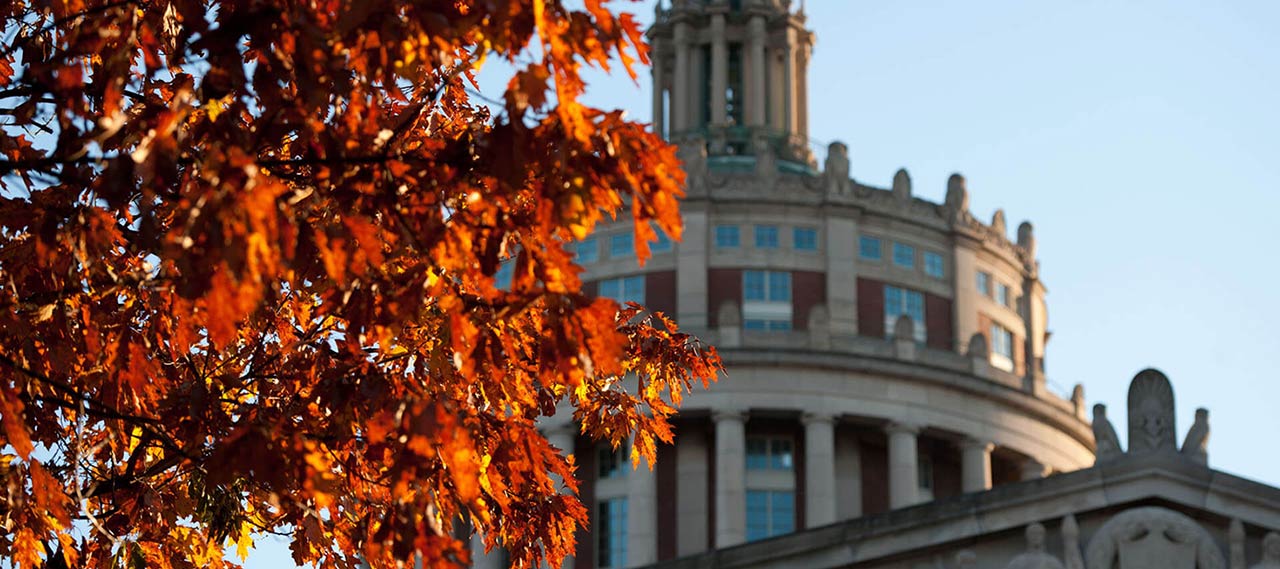 Fall foliage with the tower of Rush Rhees library in the background.