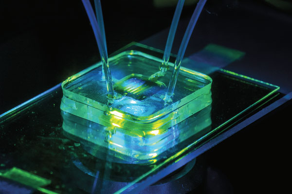 bioreactor