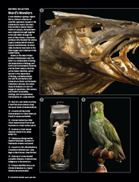 pdf image