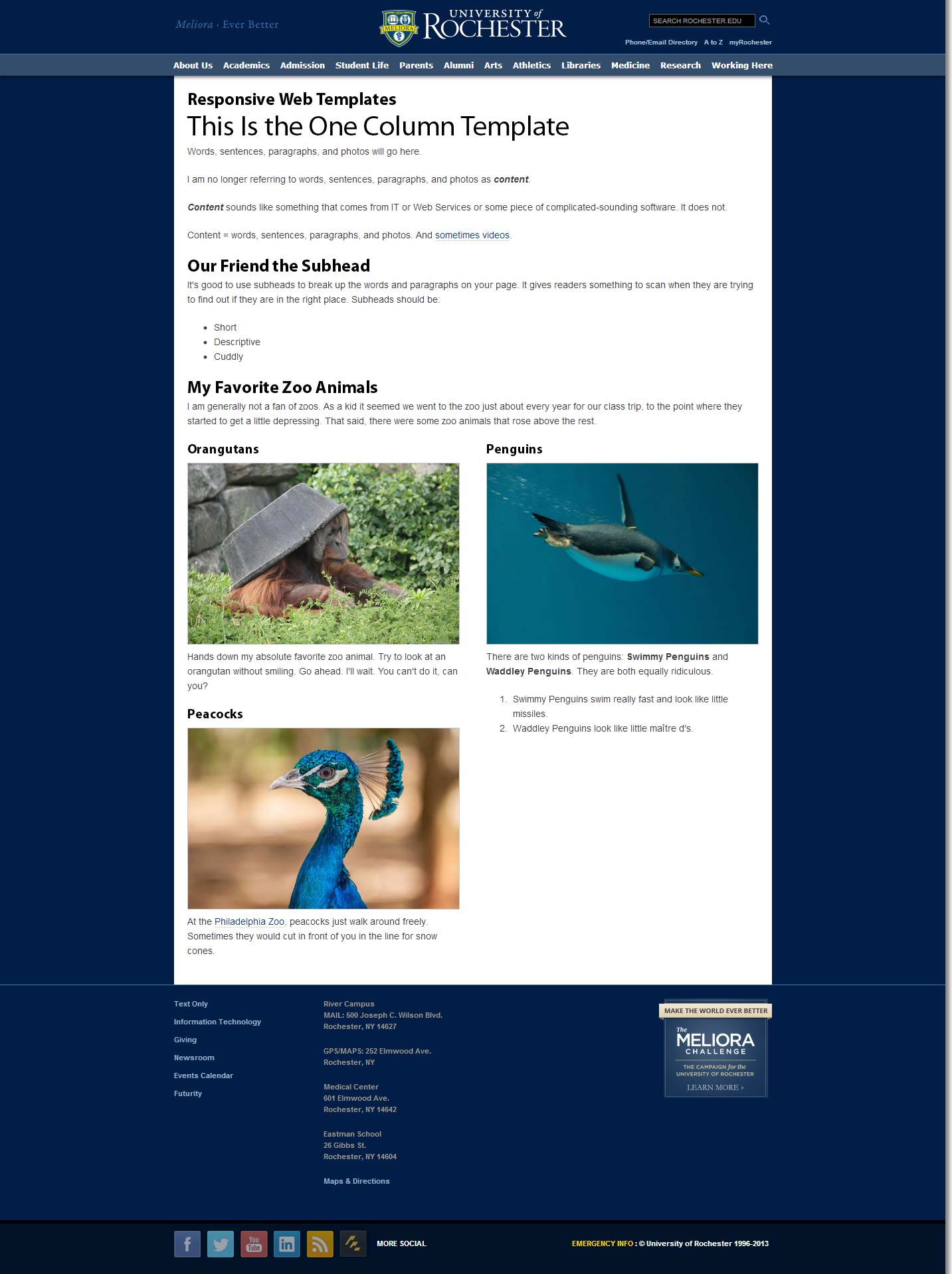 screenshot of a one-column web page