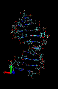 RNA diagram.