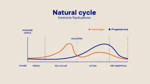 Ask the Sexpert: Sex drive and the menstrual cycle - University Health  Service