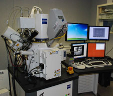 SEM/FIB Microscope