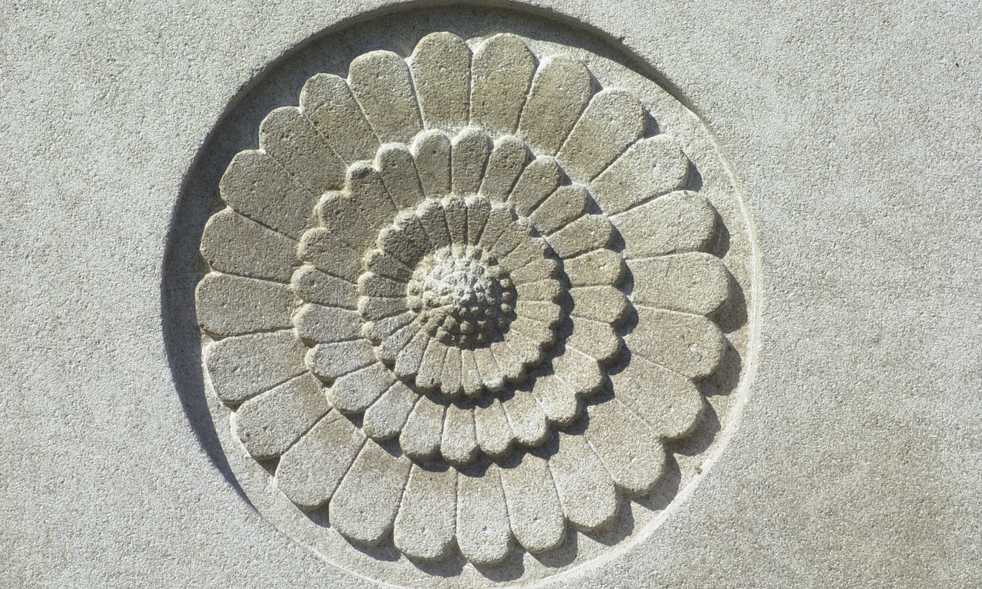 Image 15