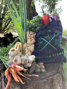 a photo of a bag full of vegetables along with onions and carrots next to it all on a tree stump 