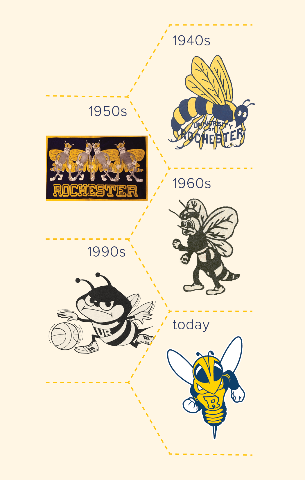 An illustrative timeline timeline of all the yellow jacket mascots named rocky for the university of Rochester