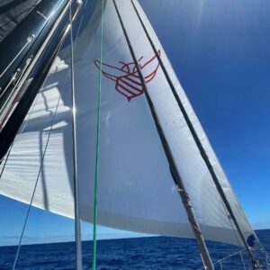 always-a-yellowjacket sailboat sail with yellow jacket design