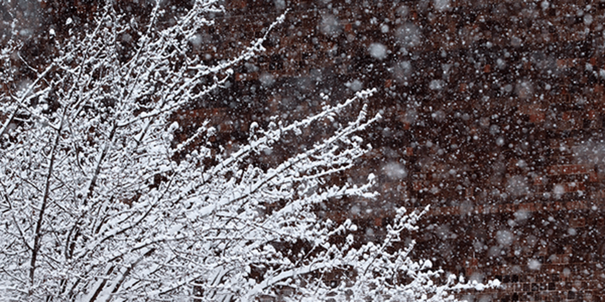 Image: Snow