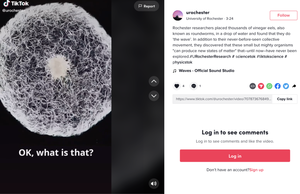 Image: Social Media Screenshot_vinegar eels