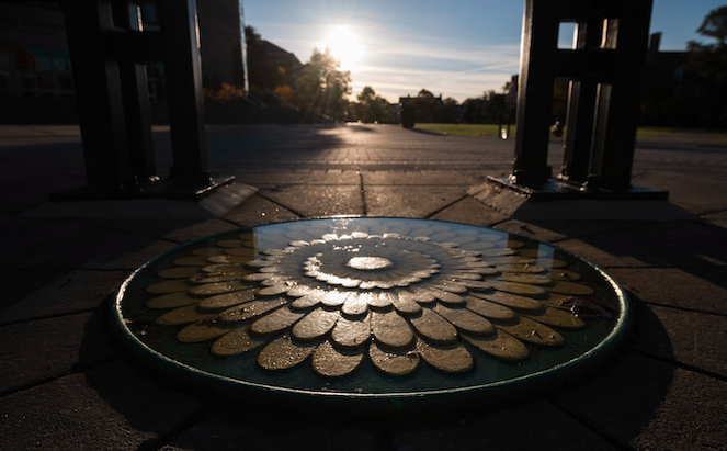 Dandelion plate on campus